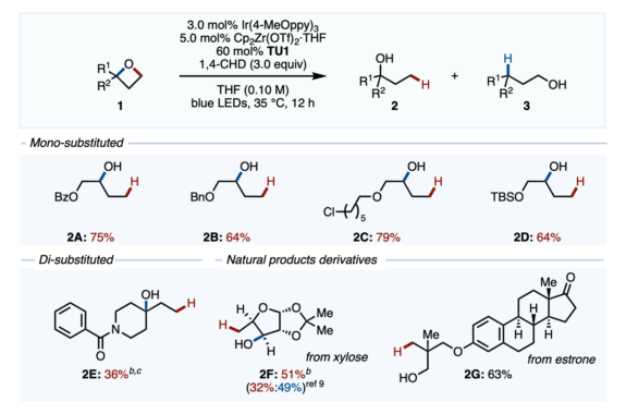 逆の位置でオキセタンを開環する 山口潤一郎研究室